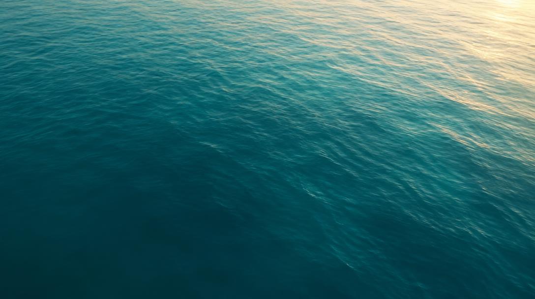The Quiet Hours: A Dawn Swim in the North Sea